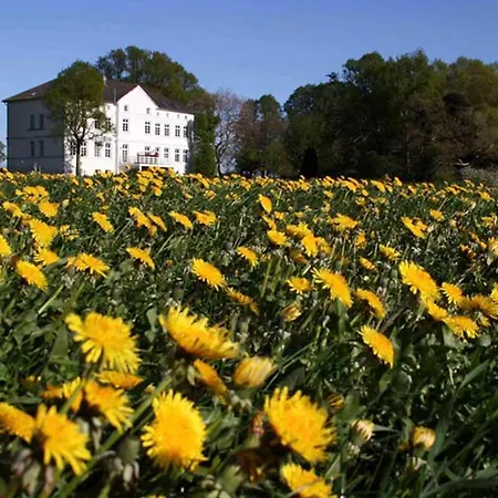 Herrenhaus App.02 Apartment *