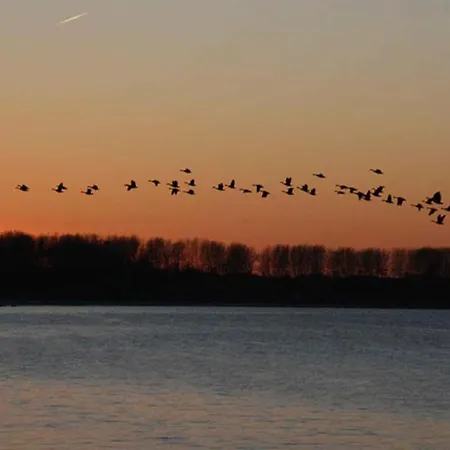 Herrenhaus App.02 Apartment