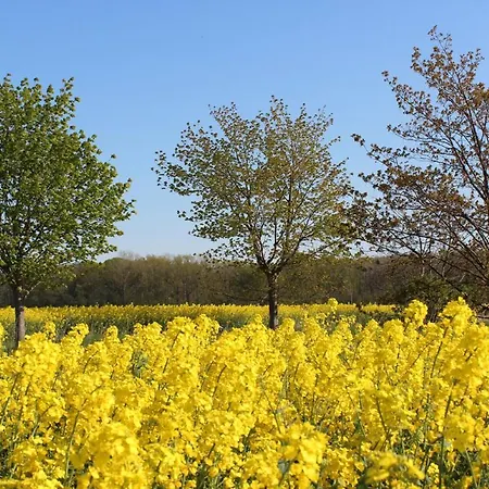 Apartment Herrenhaus App.02 Blengow