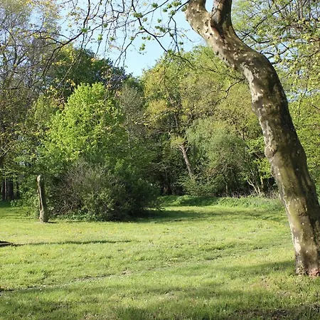 Apartment Herrenhaus App.02 Blengow